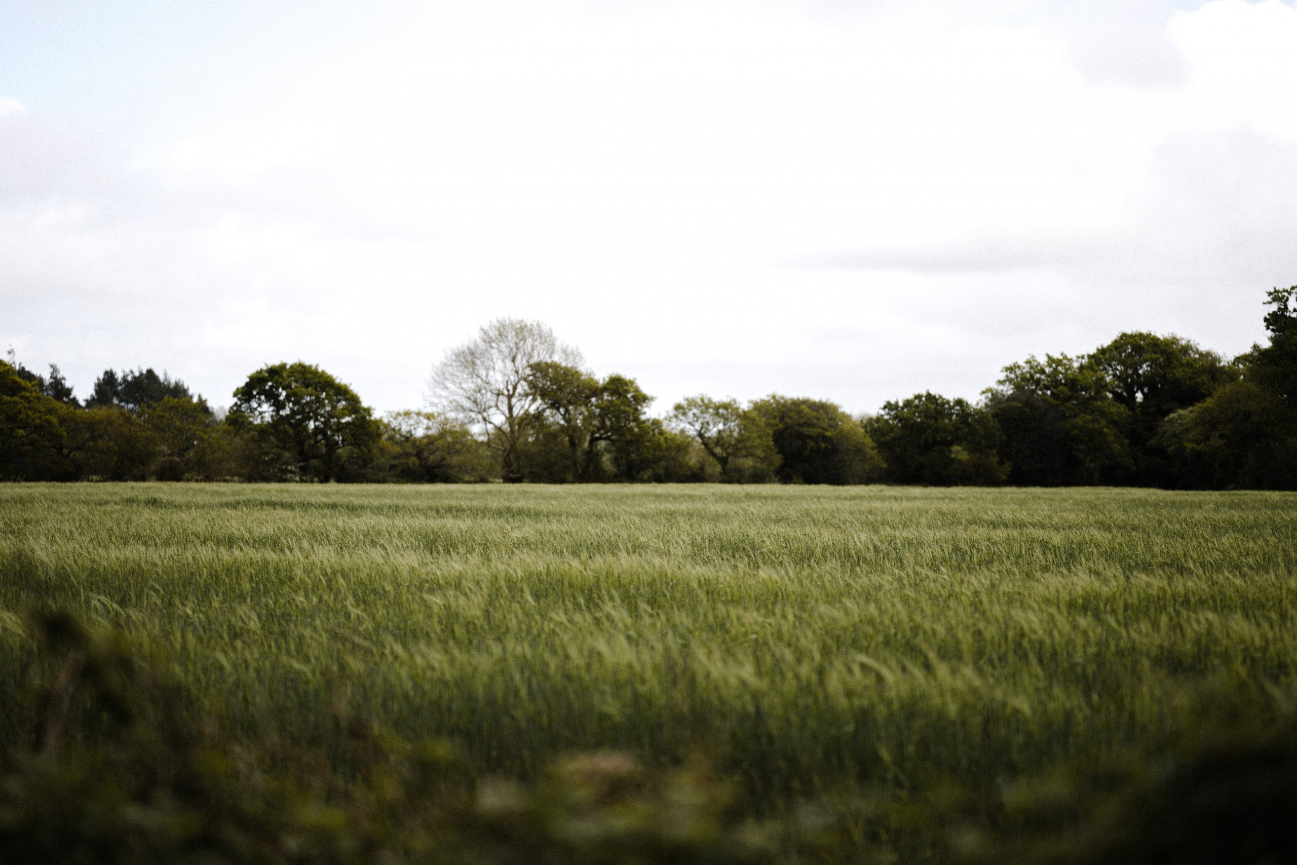 annie-spratt-8mRjwpmOhkQ-unsplash-2-scaled